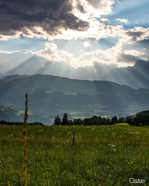 Image post by @cristan.nature.photography on Instagram