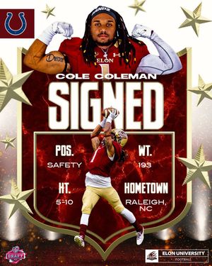 Image post by @elonfb on Instagram