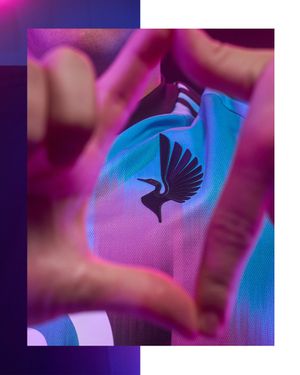 Image post by @MNUFC on Twitter