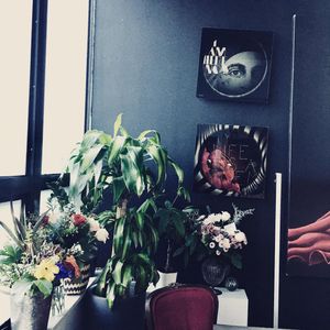 Image post by @renuvo on Instagram