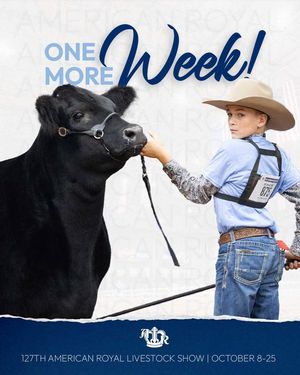 Image post by @AmericanRoyalLivestock on Facebook