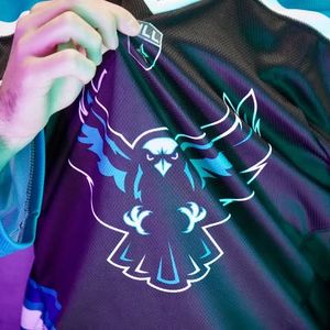 Image post by @rocknighthawks on Instagram