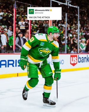 Image post by @minnesotawild on Instagram