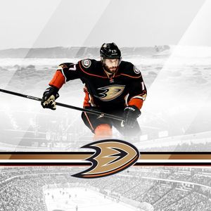 Image post by @anaheimducks on Instagram