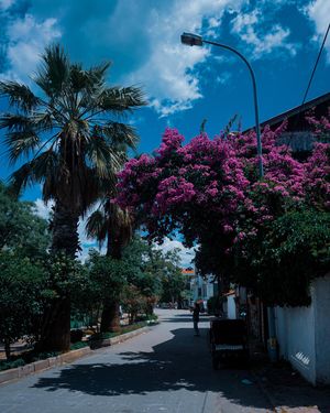Image post by @iammutluyigit on Instagram
