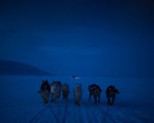 Image post by @natgeo on Instagram