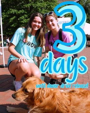 Image post by @huskython on Instagram