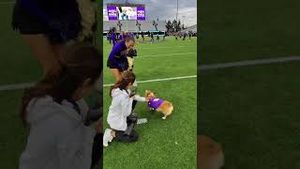 Video post by @uw_athletics on YouTube