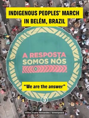 Image post by @greenpeace on Instagram