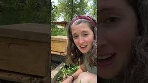 Video post by @annathearcher on YouTube