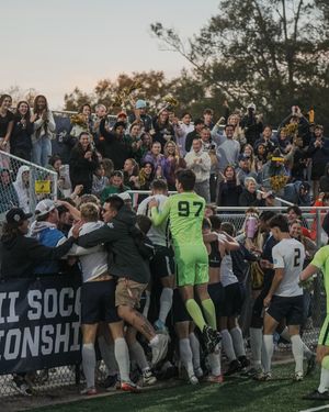 Image post by @cokercobras on Instagram