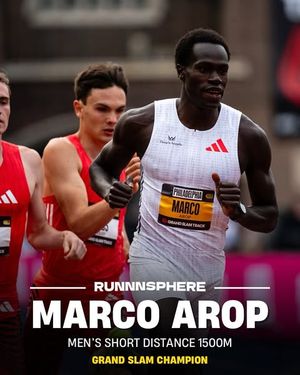 Image post by @runnnsphere on Instagram