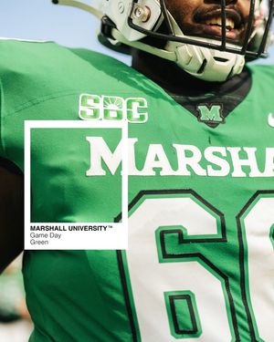 Image post by @marshallu on Instagram