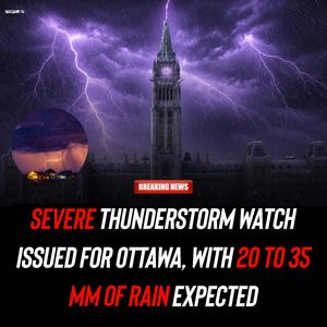 Image post by @shottawa.tv on Instagram