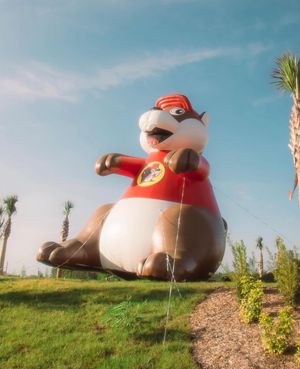 Image post by @bucees on Instagram