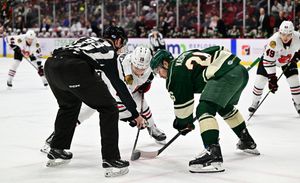 Image post by @IAWild on Twitter
