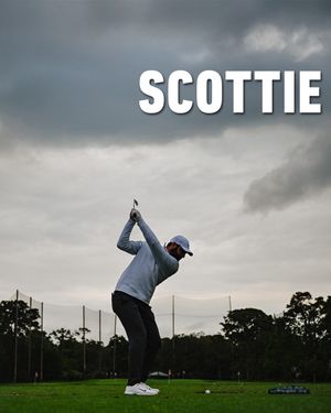 Image post by @taylormadeausnz on Instagram