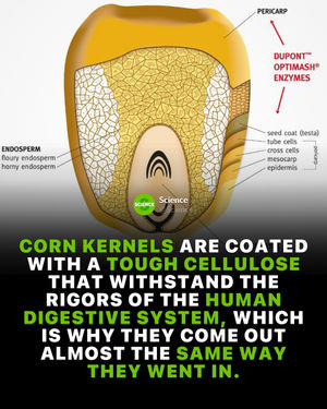 Image post by @science on Instagram