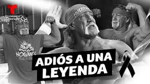 Video post by @deportes on YouTube
