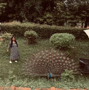 Image post by @chabigupta on Instagram