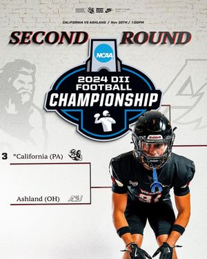 Image post by @calvulcansfb on Instagram