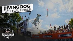 Video post by @nbcsports on YouTube