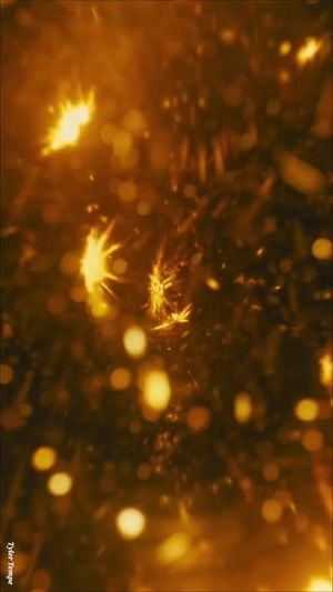 Video post by @tempevisuals on TikTok