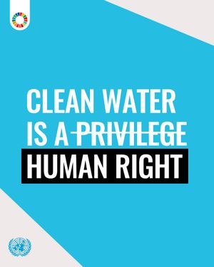 Image post by @unitednations on Instagram