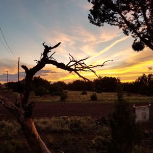 Image post by @foxweather on Instagram