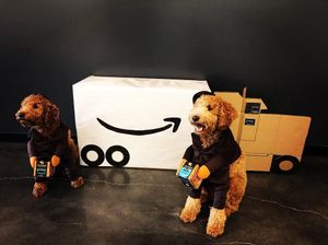 Image post by @amazon on Instagram