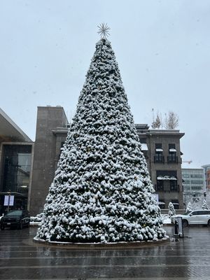 Image post by @9newsdenver on Instagram