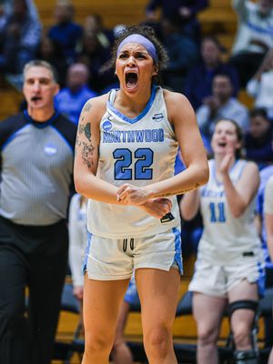 Image post by @nutimberwolves on Instagram