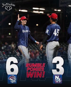 Image post by @rumbleponiesbb on Instagram