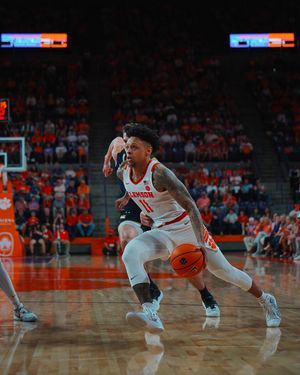 Image post by @cutigervision on Instagram