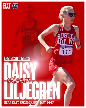 Image post by @terriertfxc on Instagram
