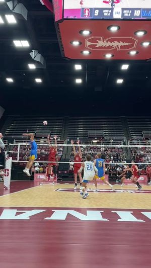 Video post by @hykchora on TikTok