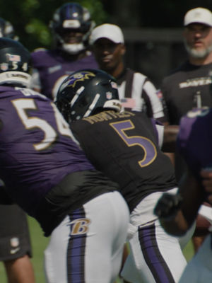 Video post by @ravens on TikTok