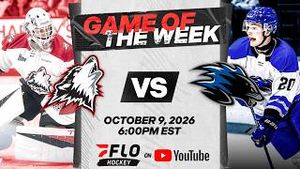 Video post by @flohockey on YouTube