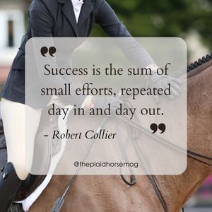 Image post by @theplaidhorsemag on Instagram