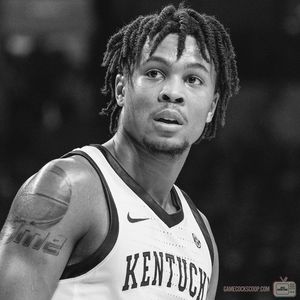 Image post by @shot.by.fish on Instagram