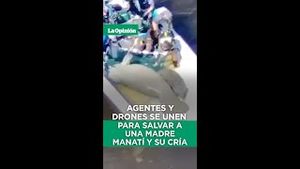 Video post by @laopinionla on YouTube