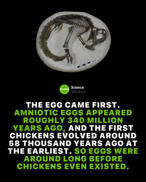 Image post by @science on Instagram