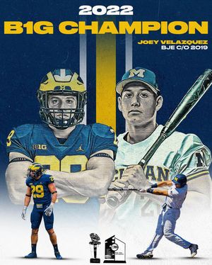 Image post by @bodomecbus on Instagram