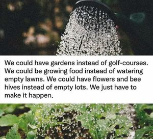 Image post by @green.anarchist on Instagram