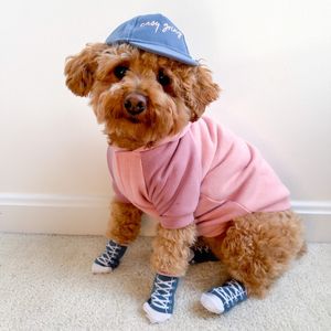 Image post by @petsmart on Instagram