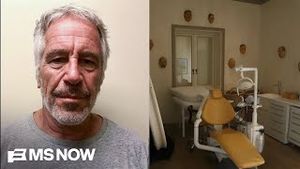 Video post by @msnbc on YouTube