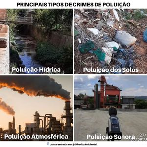 Image post by @operitoambiental on Instagram