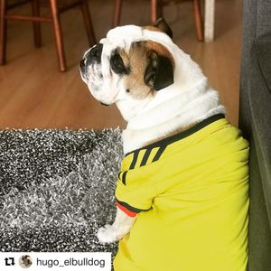Image post by @rodluisalberto on Instagram