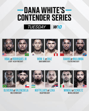Image post by @ufc_korea on Instagram