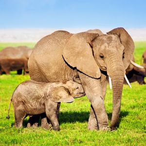 Image post by @discovery on Instagram